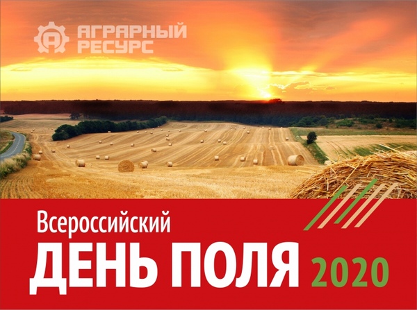 В 2020 году Минсельхоз России проведет выставку «Всероссийский день поля» в новом формате